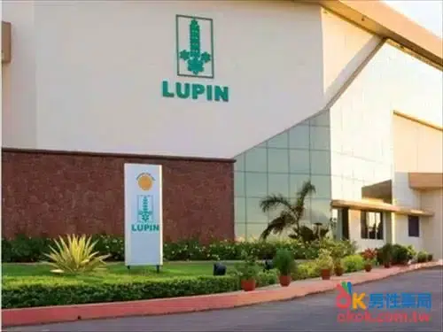 Lupin