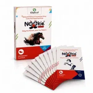雙效威而鋼口溶膜片 Nookie 120mg 外盒與膜片